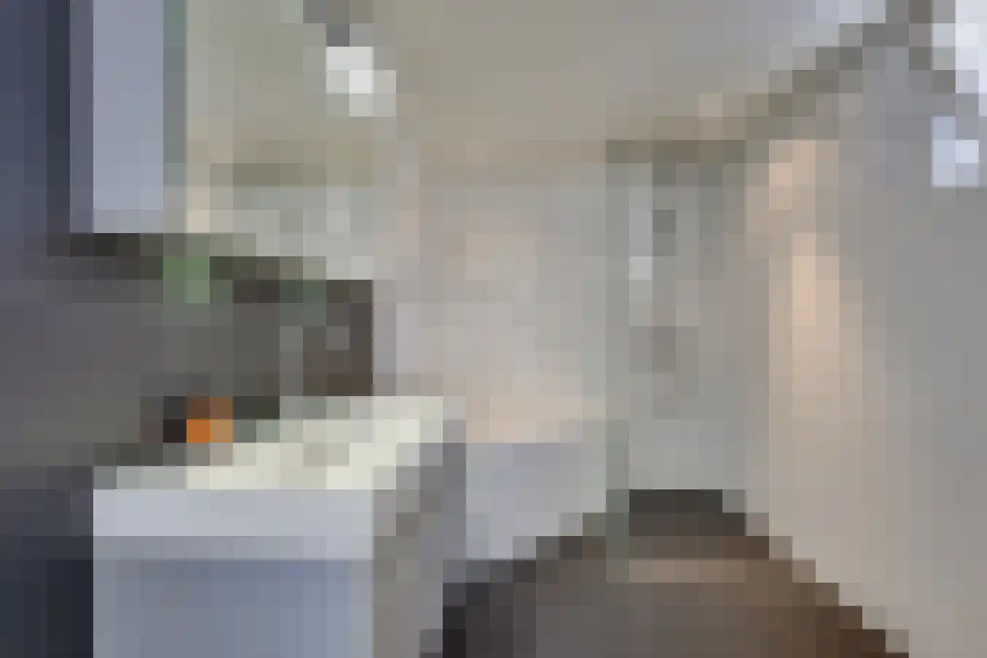 Tolsteeg 6 Sliedrecht thumbnail 6