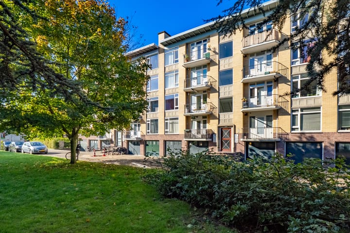 Tolsteegplantsoen 13-1 dans Utrecht photo