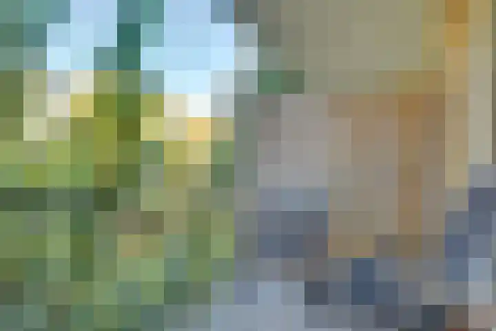 Tolsteegplantsoen 13 3 Utrecht thumbnail 13