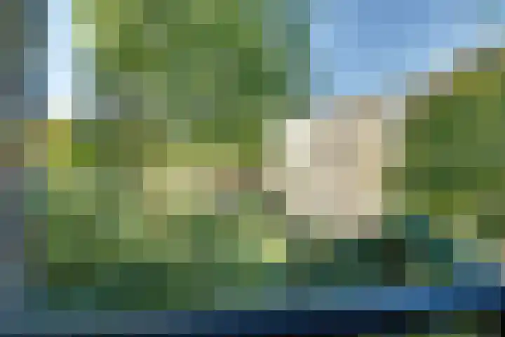 Tolsteegplantsoen 13 3 Utrecht thumbnail 14