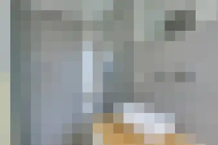 Tolsteegplantsoen 13 3 Utrecht thumbnail 18