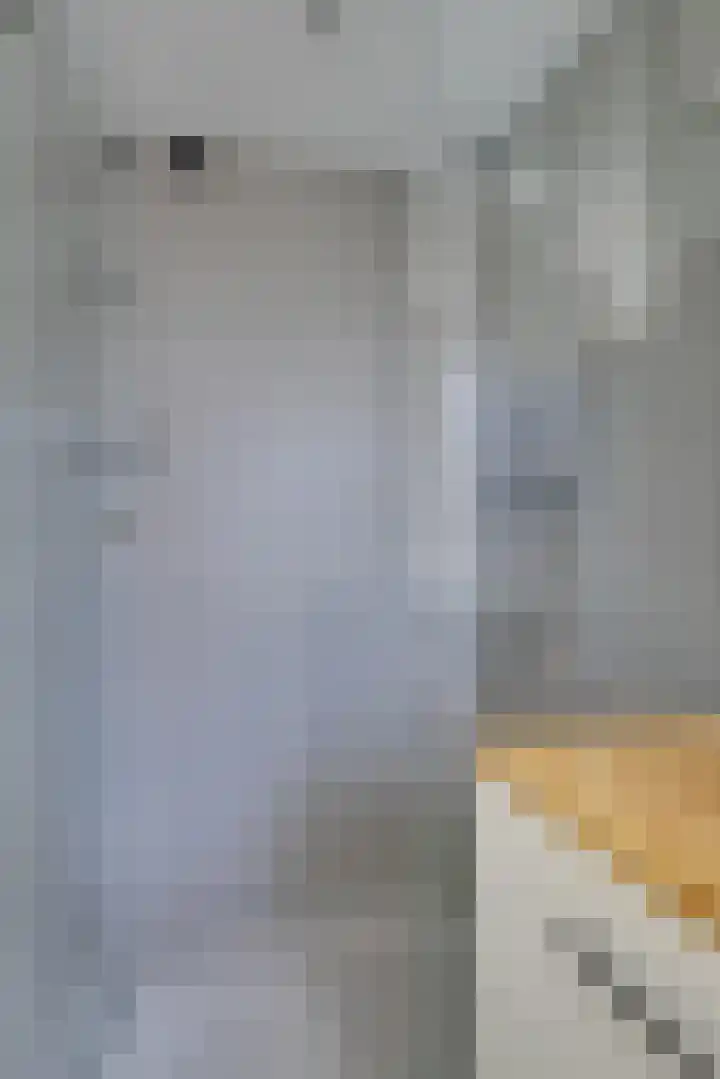 Tolsteegplantsoen 13 3 Utrecht thumbnail 19