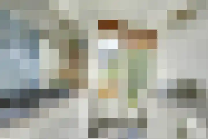 Tolsteegplantsoen 13 3 Utrecht thumbnail 21