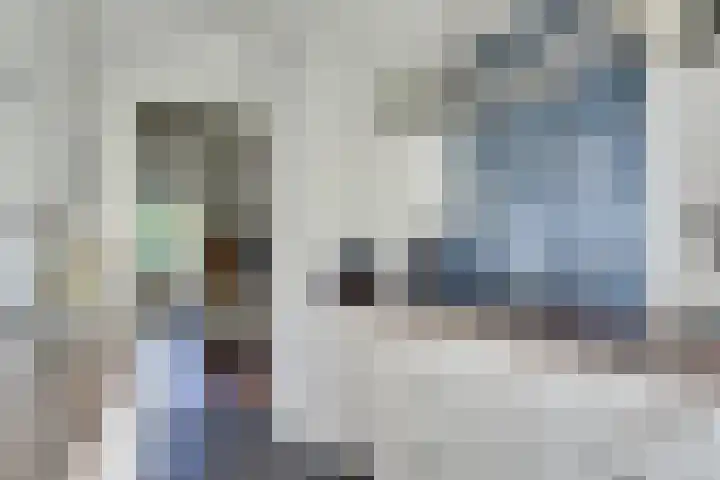 Tolsteegplantsoen 13 3 Utrecht thumbnail 24