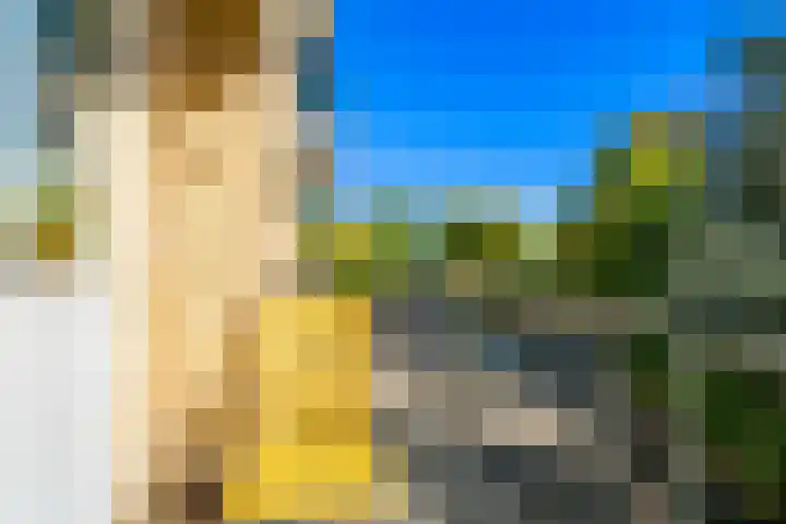 Tolsteegplantsoen 13 3 Utrecht thumbnail 28