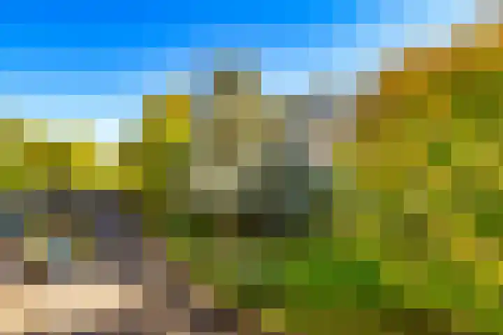 Tolsteegplantsoen 13 3 Utrecht thumbnail 30