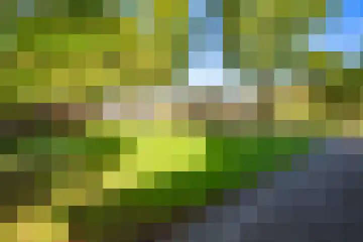 Tolsteegplantsoen 13 3 Utrecht thumbnail 32