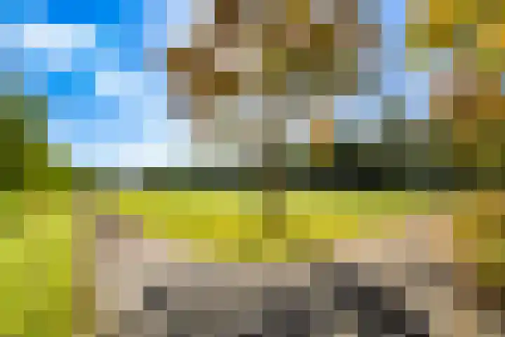 Tolsteegplantsoen 13 3 Utrecht thumbnail 33