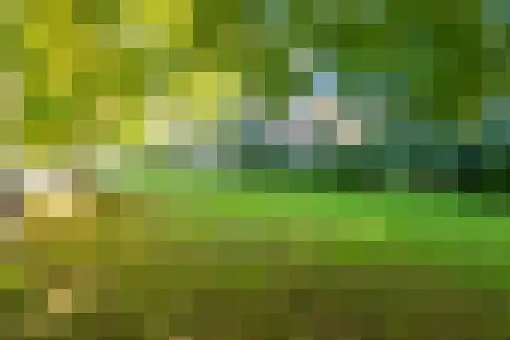 Tolsteegplantsoen 13 3 Utrecht thumbnail 34