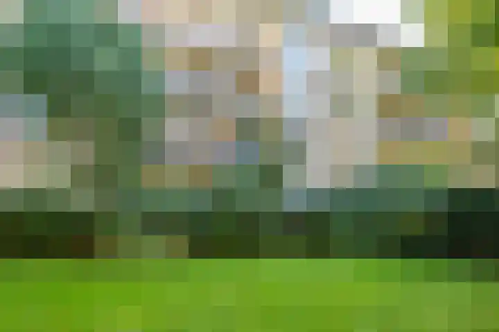 Tolsteegplantsoen 13 3 Utrecht thumbnail 35
