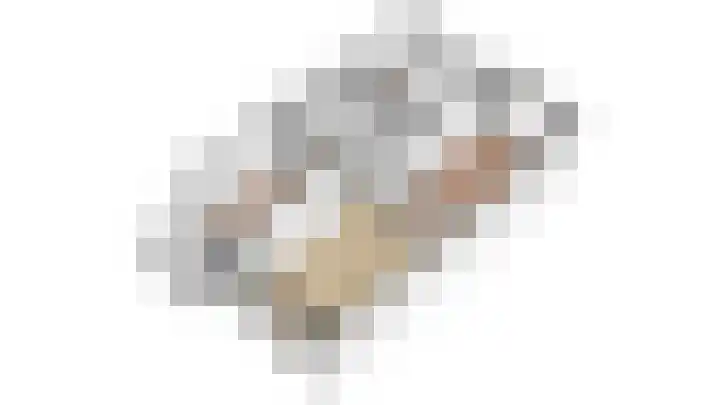 Tolsteegplantsoen 13 3 Utrecht thumbnail 38