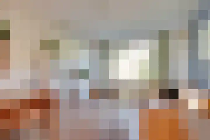 Tolsteegplantsoen 13 3 Utrecht thumbnail 8