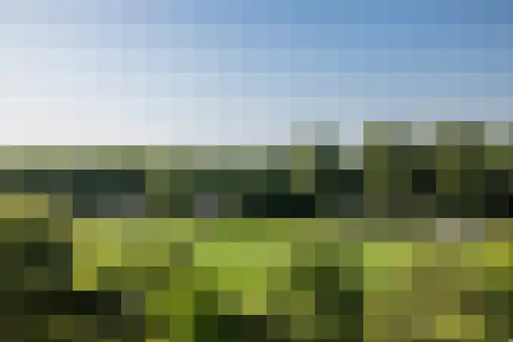Tolsteegplantsoen 19 2 Utrecht thumbnail 10
