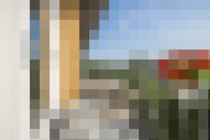 Tolsteegplantsoen 19 2 Utrecht thumbnail 18