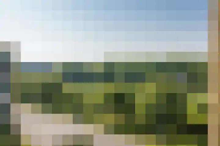 Tolsteegplantsoen 19 2 Utrecht thumbnail 20