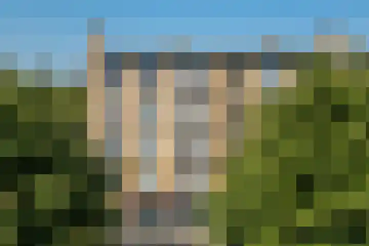 Tolsteegplantsoen 19 2 Utrecht thumbnail 31