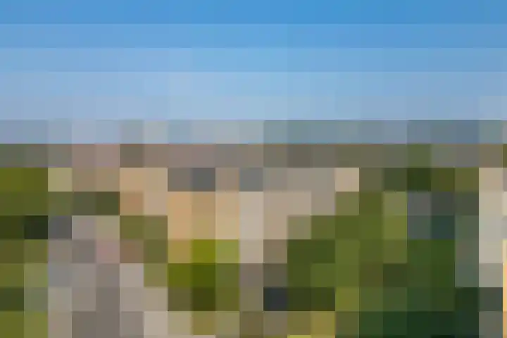 Tolsteegplantsoen 19 2 Utrecht thumbnail 32
