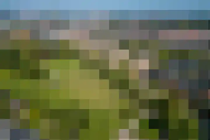 Tolsteegplantsoen 19 2 Utrecht thumbnail 33