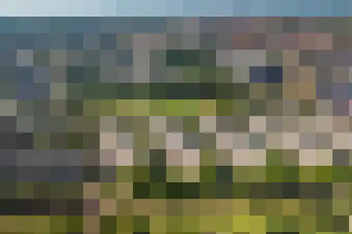 Tolsteegplantsoen 19 2 Utrecht thumbnail 34