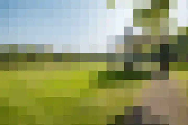 Tolsteegplantsoen 19 2 Utrecht thumbnail 35