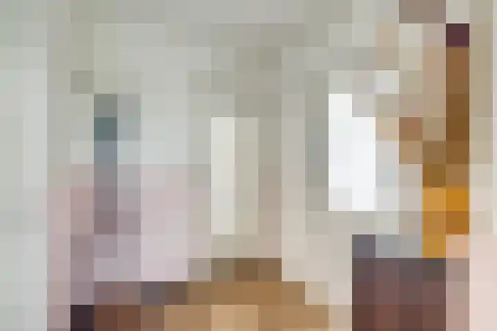 Tolsteegplantsoen 19 2 Utrecht thumbnail 5