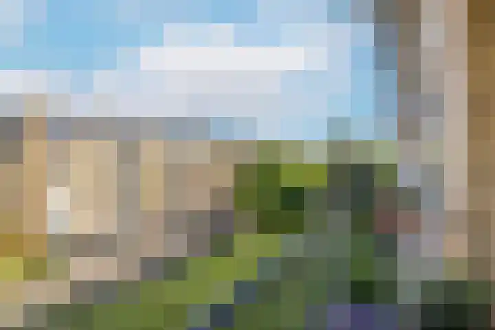 Tolsteegplantsoen 20 1 Utrecht thumbnail 12