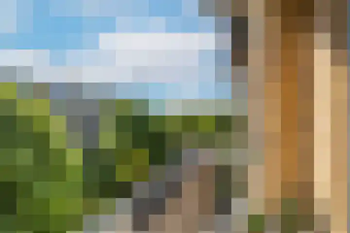 Tolsteegplantsoen 20 1 Utrecht thumbnail 15