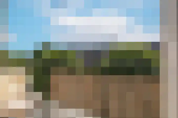 Tolsteegplantsoen 20 1 Utrecht thumbnail 16