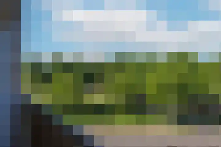 Tolsteegplantsoen 20 1 Utrecht thumbnail 17