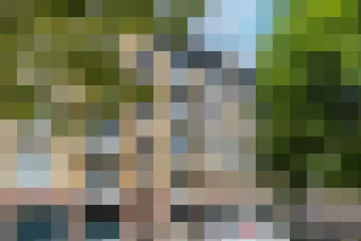 Tolsteegplantsoen 20 1 Utrecht thumbnail 28
