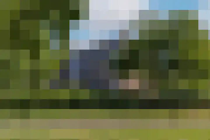 Tolsteegplantsoen 20 1 Utrecht thumbnail 29