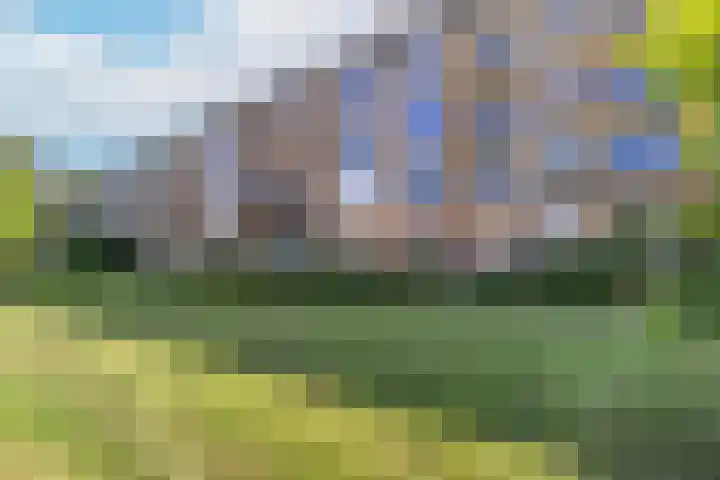 Tolsteegplantsoen 20 1 Utrecht thumbnail 31