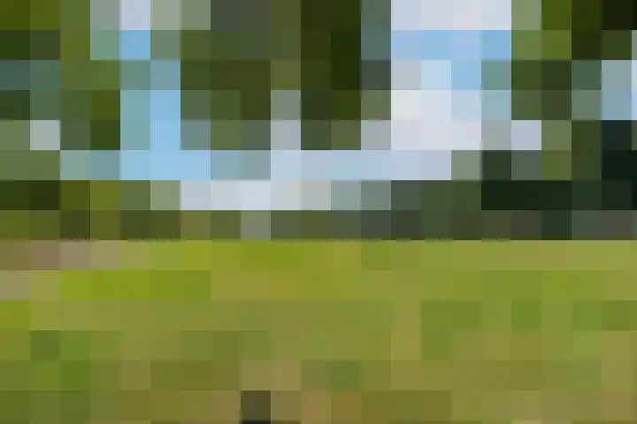 Tolsteegplantsoen 20 1 Utrecht thumbnail 32
