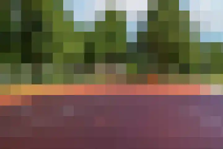 Tolsteegplantsoen 20 1 Utrecht thumbnail 33