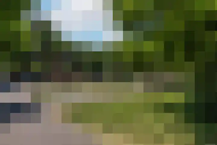 Tolsteegplantsoen 20 1 Utrecht thumbnail 34