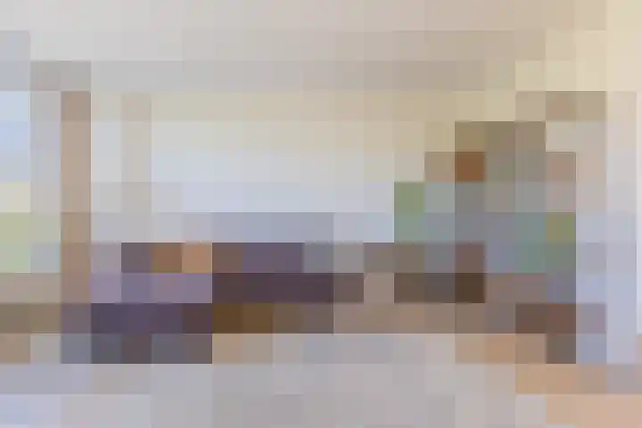 Tolsteegplantsoen 20 1 Utrecht thumbnail 5