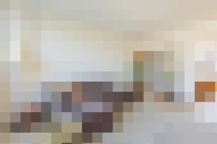 Tolsteegplantsoen 20 1 Utrecht thumbnail 6