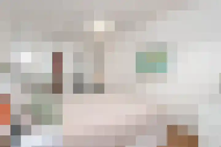 Tolsteegplantsoen 20 Utrecht thumbnail 10