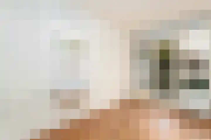 Tolsteegplantsoen 20 Utrecht thumbnail 11