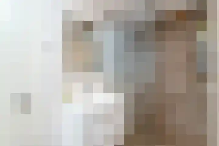 Tolsteegplantsoen 20 Utrecht thumbnail 13