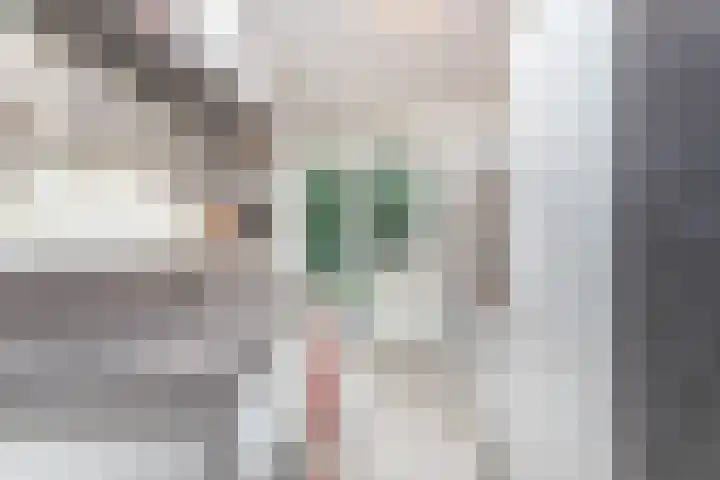 Tolsteegplantsoen 20 Utrecht thumbnail 15