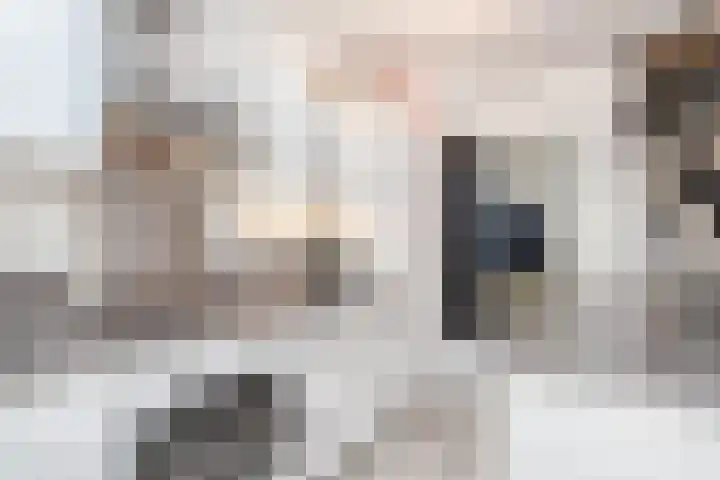 Tolsteegplantsoen 20 Utrecht thumbnail 16