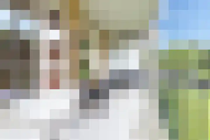 Tolsteegplantsoen 20 Utrecht thumbnail 19
