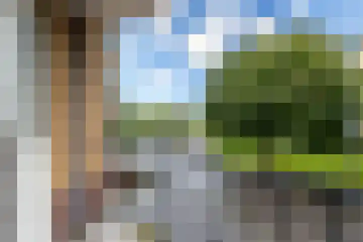Tolsteegplantsoen 20 Utrecht thumbnail 22