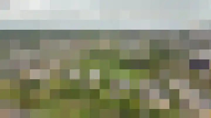 Tolsteegplantsoen 20 Utrecht thumbnail 25