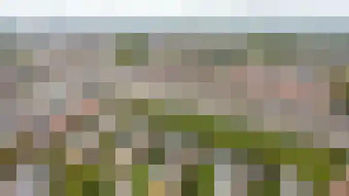 Tolsteegplantsoen 20 Utrecht thumbnail 26