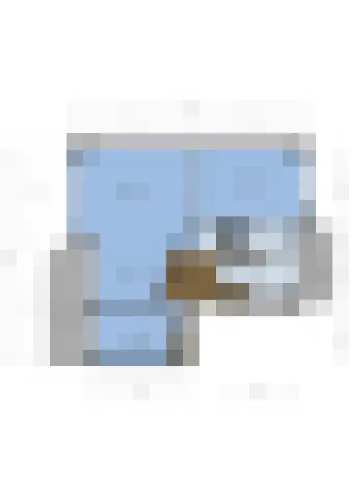 Tolsteegplantsoen 20 Utrecht thumbnail 27