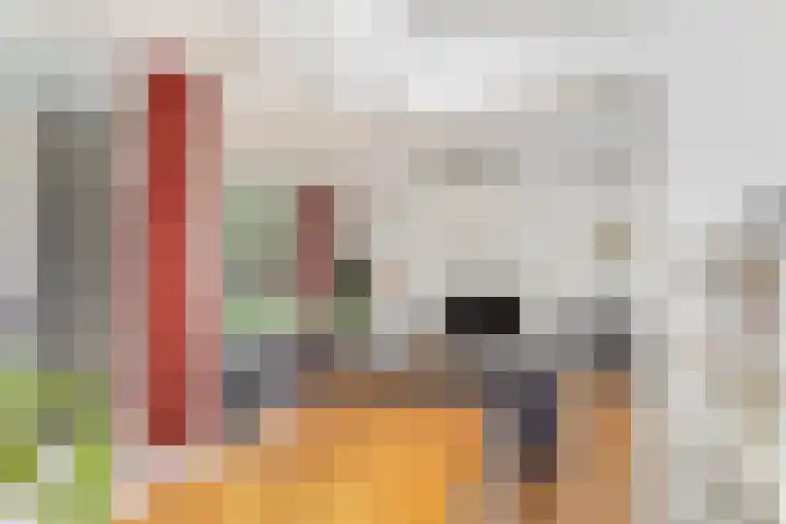 Tolsteegplantsoen 20 Utrecht thumbnail 7