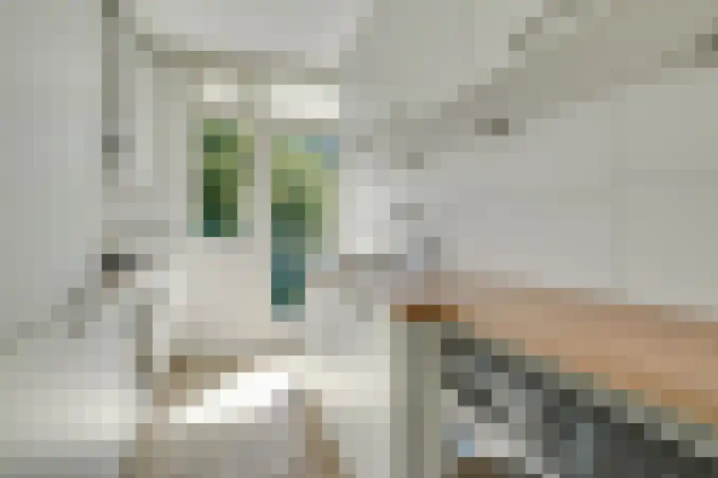 Tolsteegplantsoen 21 1 Utrecht thumbnail 14