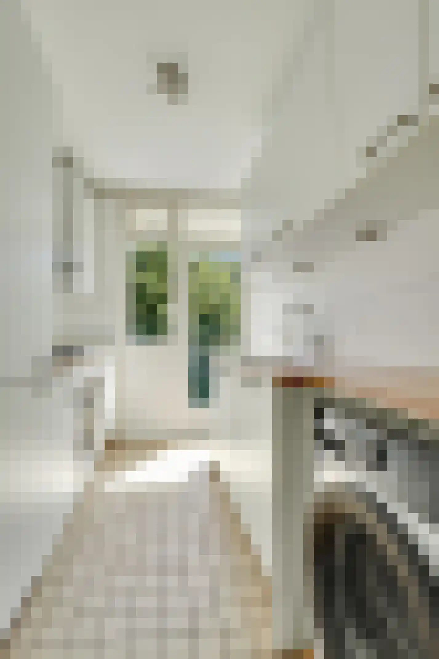Tolsteegplantsoen 21 1 Utrecht thumbnail 16